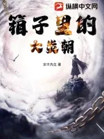 《箱子里的大炎朝》小说封面