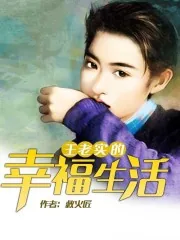 《王老实的幸福生活》小说封面