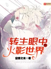 《转生眼中的火影世界》小说封面