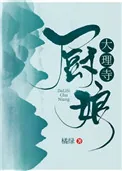 《大理寺厨娘》小说封面