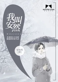《我叫安然》小说封面
