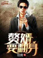 《赘婿要翻身》小说封面
