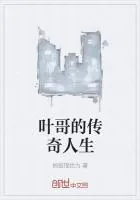 《叶哥的传奇人生》小说封面