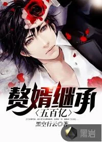 《赘婿继承五百亿》小说封面