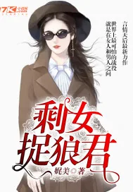 《剩女捉狼君》小说封面