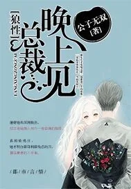 《狼性总裁晚上见》小说封面