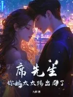 《席先生，你被太太踢出局了！》小说封面