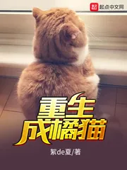 《重生成橘猫》小说封面