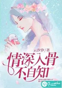 《情深入骨不自知》小说封面