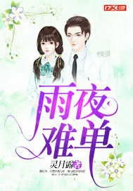 《雨夜难单》小说封面
