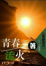 《青春流火》小说封面