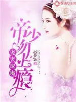 《宠妻成魔，帝少吻上瘾》小说封面