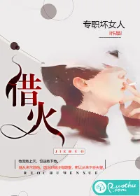 《借火》小说封面