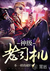 《神级老司机》小说封面