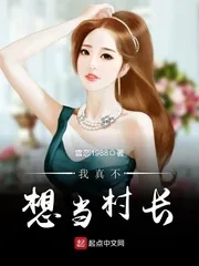 《我真不想当村长》小说封面