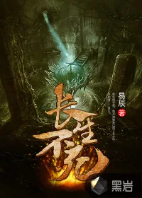 《长生不死》小说封面