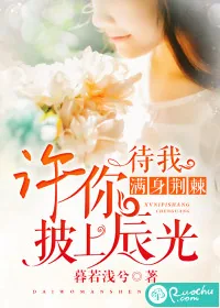 《待我满身荆棘，许你披上晨光》小说封面