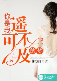 《你是我遥不可及的梦》小说封面