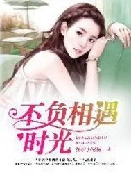 《不负相遇时光》小说封面