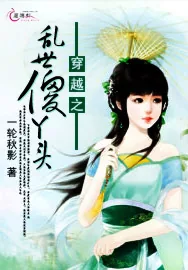 《穿越之乱世傻丫头》小说封面