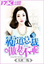 《霸道总裁傲妻不乖》小说封面