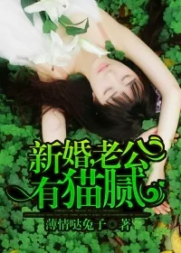 《新婚,老公有猫腻》小说封面