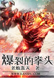 《爆裂的拳头》小说封面