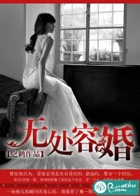 《无处容婚》小说封面