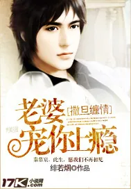 《宠婚》小说封面