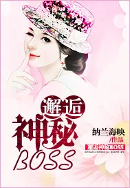 《邂逅神秘BOSS》小说封面