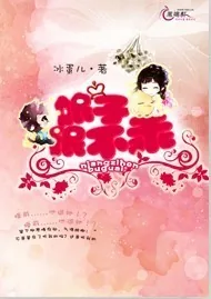 《娘子很不乖》小说封面