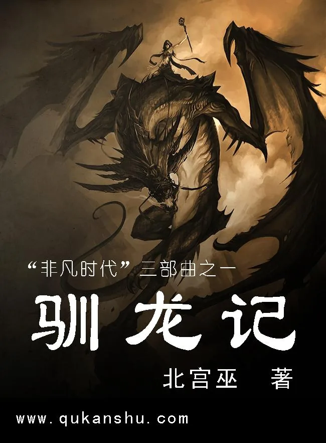 《驯龙记》小说封面
