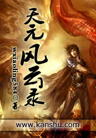 《天元风云录》小说封面