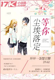《等你尘埃落定》小说封面