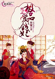 《恋上极品爱钱妃》小说封面
