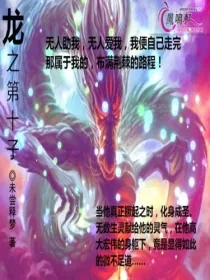 《龙之第十子》小说封面