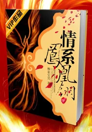 《情系凤凰翎》小说封面