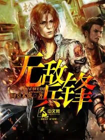 《无敌兵锋》小说封面
