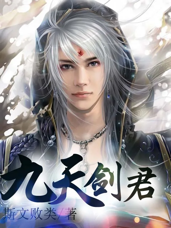 《九天剑君》小说封面