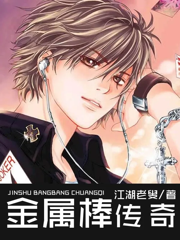 《金属棒传奇》小说封面