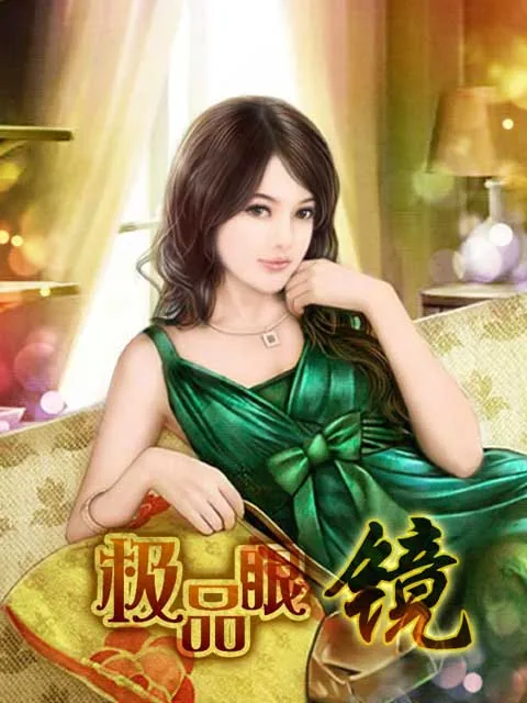 《极品眼镜》小说封面