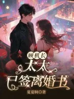 《顾机长，太太已签离婚书》小说封面