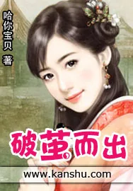《破茧而出》小说封面