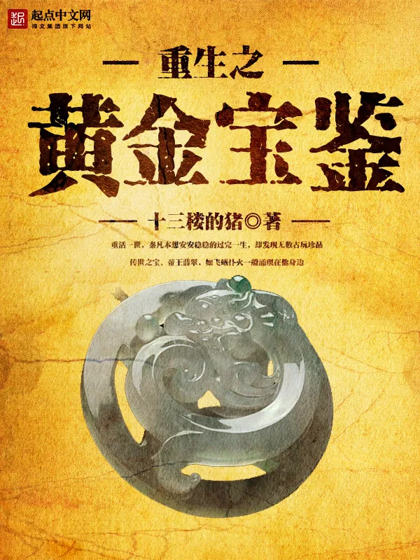 《重生之黄金宝鉴》小说封面