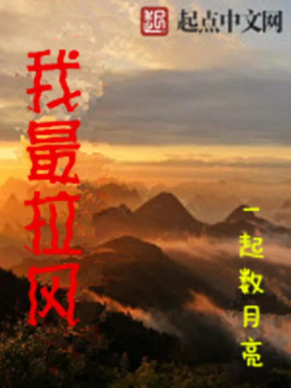 《我最拉风》小说封面