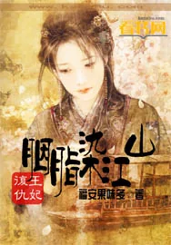 《复仇王妃：胭脂染江山》小说封面