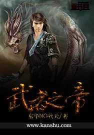 《武者之帝》小说封面
