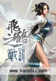 《飞鹤之战》小说封面