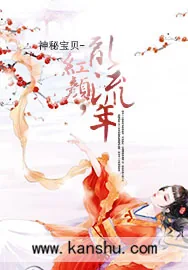 《红颜，乱流年》小说封面