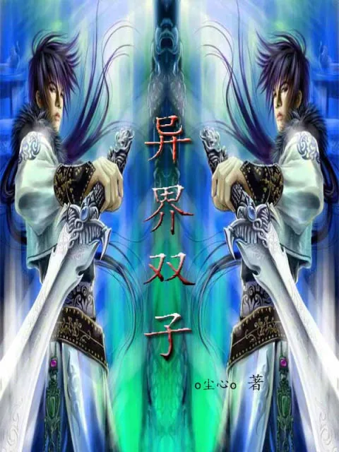 《异界双子》小说封面